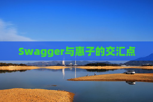 Swagger与惠子的交汇点