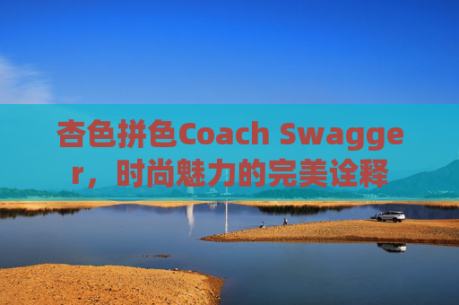 杏色拼色Coach Swagger，时尚魅力的完美诠释